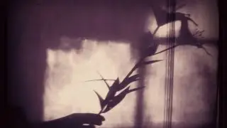 Shiloh Dynasty - So innocent... (Remix)