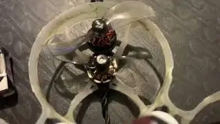 The best motor’s for a 1s whoop?