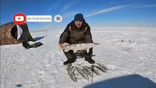 Крутая Рыбалка В Казахстане в Феврале! Хороший Фильм О Нашем Двух Дневном Путешествии!