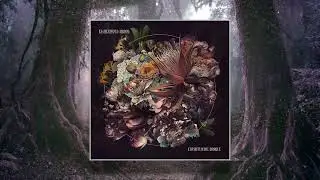 El Beso Del Árbol - Espíritus Del Bosque (Continuous Mix) (Organic Downtempo)