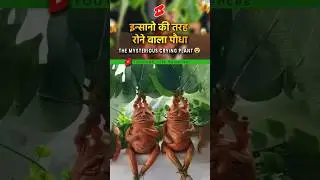 🌏दुनिया का सबसे भयानक पौधा🌱#trending #amazingfacts #shorts #short #facts #fyp #factscience #space