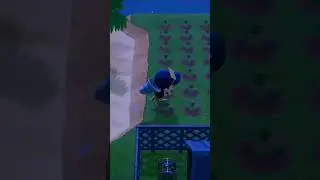 I'm really good at animal crossing