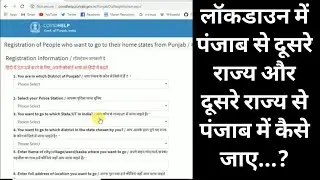 How to apply ePass for Punjab to other state|Lockdown pass for Punjab to Other State | Movement Pass