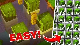 Easy Cactus Farm in Minecraft (Tutorial)