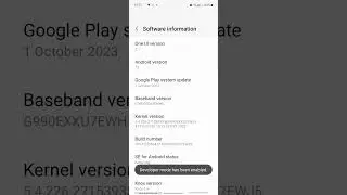 How Turn On Developer Features On Android