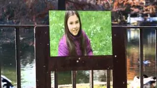 Photo Gallery In The Park