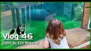 46 - Zoo Beauval (#vlog #zoo #beauval)