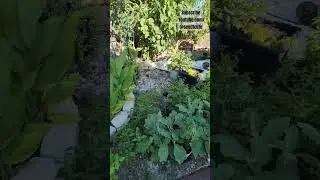 Seed to Life Garden Tour Short July  2023