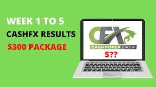 CashFX Results - Week 1 to 5 Progress ($300 PACKAGE)