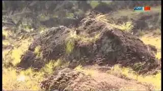 Bali - Paradise in the tropic.flv
