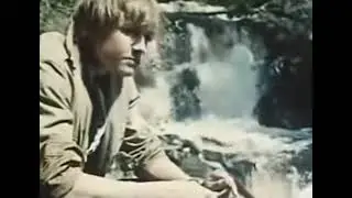 Ансамбль