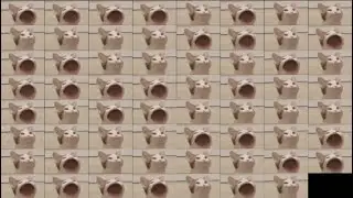Pop Cat Over 1 Million Times
