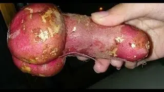 Необычные формы