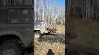 Кабанчик влип