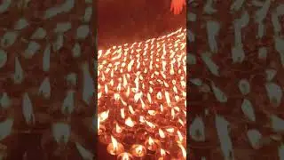 बौद्धमा दियो बालेको ।।।। #shorts #viralshorts