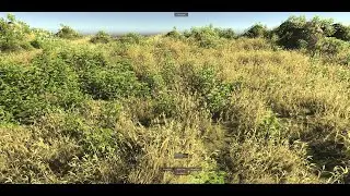 InfiniGRASS, Insane grass density, view distance & full shadows on 2060GTX & top quality grass