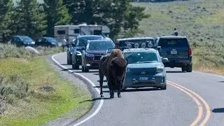 Our Grand Teton Trip