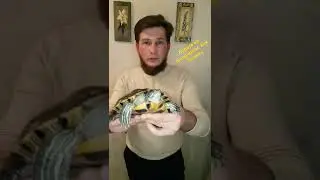 Будьте на спокойном, чтобы не происходило