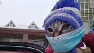 Встречаем гостей. Необычная пассажирка, которая подняла всем настроение
