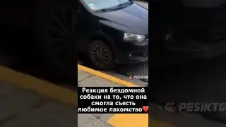 Для счастья надо совсем чуть-чуть 🤗