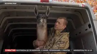 ТВЦ о животных Херсонского зооуголка в Тайгане