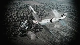 Reversal is fun 2.5(Fw 190 D-13)
