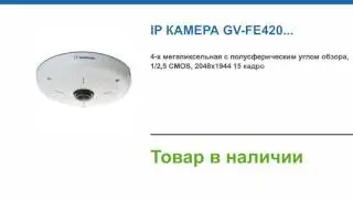 IP камера GV-FE420 купить в магазине