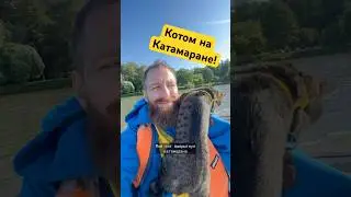 Похоже на блокбастер?😀