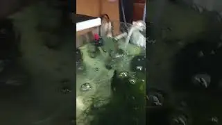 ХОЧУ ДОНАТ НА КИПЯТИЛЬНИК 😁🥶 реквизит в описании 💸💸💸💸💸😜