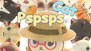Pspsps Cat