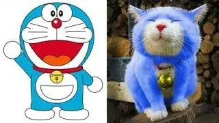 Doraemon Characters in Real Life