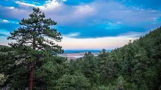 A Short Hike