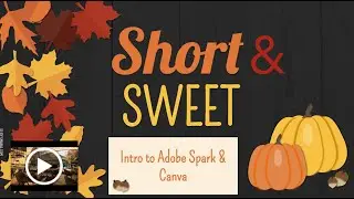 Adobe Express and Canva