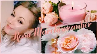 Роза МЁРХЕНЦАУБЕР-Marchenzauber север, лови! 🍨 