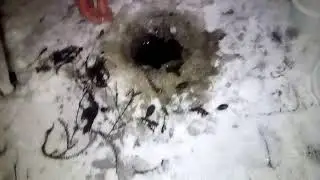 Рыбалка на щуку ночью на жерлицы | Озеро Тростенское