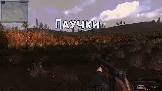 S.T.A.L.K.E.R. «В АДУ… ПСЫ» Логово пауков