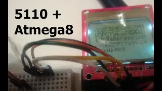 Подключение дисплея 5110 к Atmega 8 + русский шрифт.