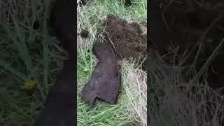 металлокоп