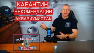 КАРАНТИН  Рекомендации от разводчика.