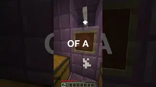 Why Do We STILL Have Elytra? #minecart