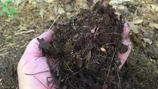 2020.06.21 Compost Composite
