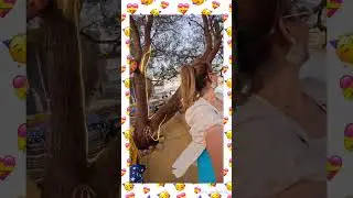 اسوان الساحرة مع اغنية الكينج منير
