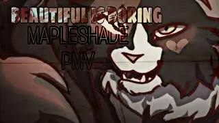 BEAUTIFUL IS BORING • Mapleshade