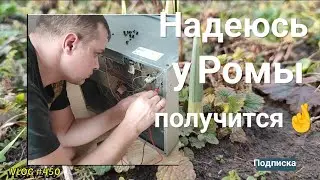 Влог# 450 Надеюсь всë ПОЛУЧИТСЯ🤞ВЕСНА на подходе🌱