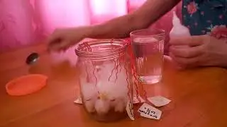 замачивание семян перца в растворе перекиси водорода
