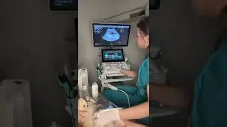 Типичный день ветеринарного УЗИста 📺 #ветеринар #лечениеживотных #vetdoctor #veterinarian