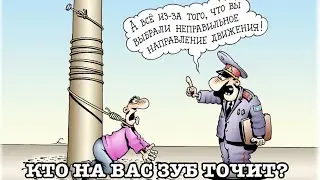КТО НА ВАС ЗУБ ТОЧИТ?