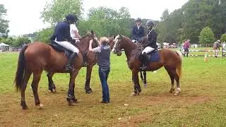The Dorrigo Show 2023