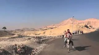 Donkey ride in Luxor