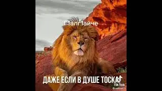 г|алг|айче